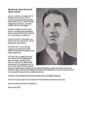 A preview of a PDF biography for Meanwell, Norman Henry